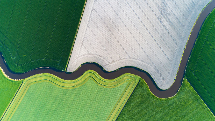 Aerial view of a river